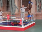 2 chú khỉ đóng diễn viên hài khi tỉ thí boxing