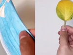 Chàng trai dùng filter điện thoại để vẽ hình các mỹ nhân