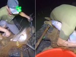 Pha chụp hụt cá đi vào lòng sông
