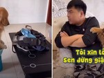Chú chó xin lỗi sen rối rít vì cắn dép