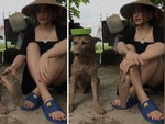 Video hài hot nhất tuần qua: Cô chủ la rầy chú chó ra đồng bắt cá