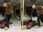 Cô gái làm vỡ chậu cây cảnh vì sống ảo