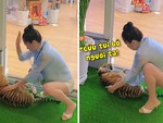 Video hài nhất tuần qua: Chú hổ bị người phụ nữ đánh tới tấp