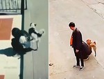 Những chàng trai cô gái ngồi buồn ở vỉa hè bị chó đến tè vào lưng