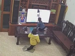 Bé trai đập vỡ màn hình tivi vì đang xem hoạt hình thì quảng cáo