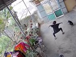 Chó cưng ngơ ngác khi cô chủ múa đường quyền