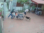 Chàng trai hú hồn khi 'chó nhà em ngoan lắm, không cắn đâu'