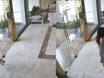 Cô gái u đầu vì cụng vào cửa kính cường lực