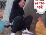 Chàng trai bị gà trống đánh vì hát dở