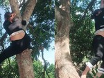 Cô gái trèo cây ngã xuống sông