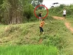 Chết cười với thanh niên áo đen múa gậy khi xem bạn bắt rắn