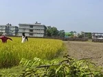 Người đàn ông đi nhỏ cỏ nổi quạu khi bị 'ma nơ canh sống' đùa nhây