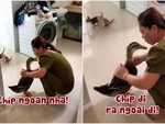 Chú vịt thông minh biết nghe lời chủ răm rắp