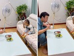 Bố dùng quạt máy đút cơm cho con ăn