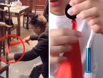 Giải mã ảo thuật chiếc khăn xuyên qua đồ vật
