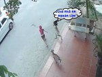 Bé trai hoảng hồn bỏ chạy với 'chó nhà em ngoan lắm'