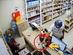 'Thần điêu đại bịp' bối rối vì lừa thối tiền tờ 500.000 bất thành