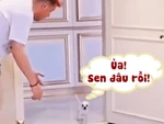 Chú chó giả vờ không thấy sen khi chơi ảo thuật 'tàng hình'