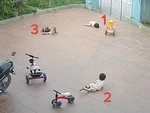 Chú chó bắt chước 2 đứa trẻ nằm xuống sân ăn vạ