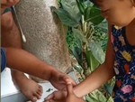 Bé trai 'giận tím người' khi bị bạn chơi khăm