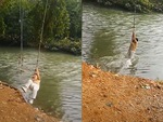 Cô gái đu dây ngã xuống sông vì pha cứu trợ cồng kềnh