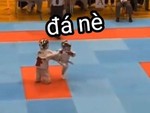 2 bé trai cute thi đấu võ taekwondo