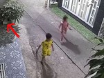 Bé gái dùng thuật ẩn thân khi chơi trốn tìm