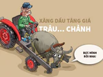 Xăng dầu tăng, trâu lên giá