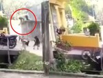 Chủ nhà ngơ ngác khi xe máy bị khỉ đạp xuống mương