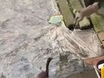 Chó chạy té khói vì bị vịt dí