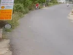 Chàng trai chở bạn gái ôm cua lao vào bụi cây