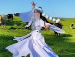 Cô gái đóng giả Hàm Hương múa trên đồng cỏ xanh bị bò rượt