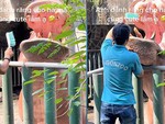 Hà Mã sung sướng khi được nhân viên sở thú đánh răng
