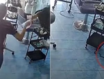Cô chủ và khách hoảng hồn với chú mèo mang rắn về nhà