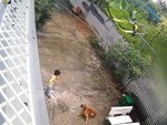 Bé trai chạy mất dép vì bị chó rượt