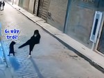 Chàng trai ngứa chân đá chó bị nghiệp quật