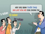 Sếp đề nghị nâng tuổi thọ vỉa hè lên 90 năm!