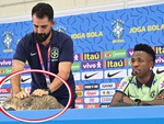 Chú mèo 'điệp viên' phá đám tuyển Brazil ngay trong buổi họp báo