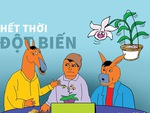 Lan đột biến giảm giá 1 triệu lần vẫn ế!