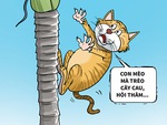 Con mèo trèo cây cau, đụng chú chuột gia thế khủng