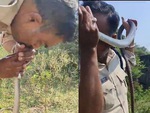 Cảnh sát hồi sức cho rắn bằng hô hấp nhân tạo