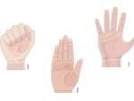Cách giơ tay phát biểu tiết lộ con người thật của bạn