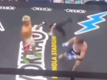 Trọng tài đập mặt xuống sàn khi phi thân cản hai võ sĩ ra đòn