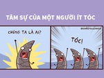 Tâm sự của một người ít tóc