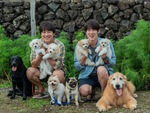 Yoo Yeon Seok, Cha Tae Hyun tuyển 'sen' cho 'boss' cực hài trong 'My puppy'