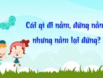 Đố vui: Cái gì đi thì nằm nhưng nằm lại đứng?