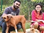 Cuộc chiến chống chó hoang: Liệu Ấn Độ có thể ra khỏi... ngõ cụt? (Kỳ 2)