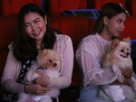 Thái Lan cho phép khách hàng mang thú cưng vào rạp phim