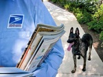 Hơn 5.300 bưu tá bị chó cắn ở Mỹ dù gia chủ khẳng định 'bé ngoan'