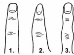 Hình dạng ngón tay nói gì về tính cách của bạn